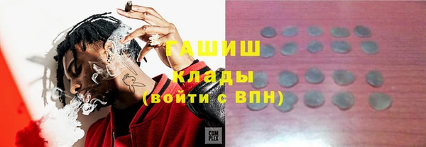 стаф Новозыбков