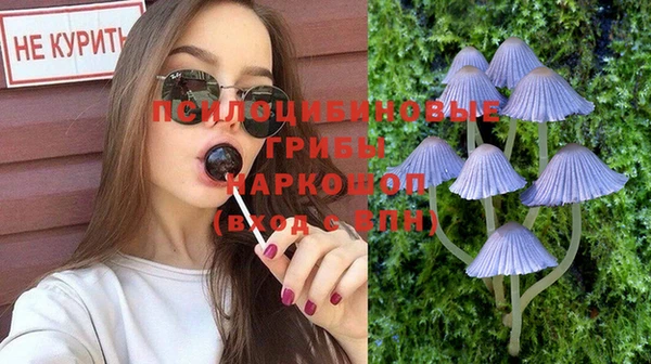 стаф Новозыбков