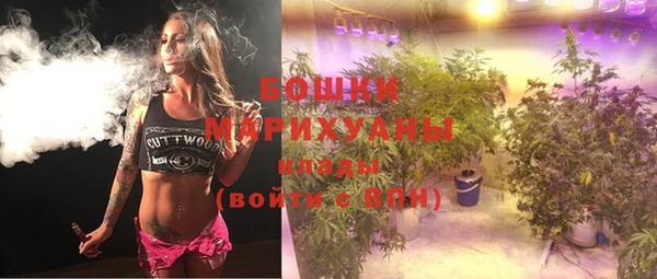 стаф Новозыбков