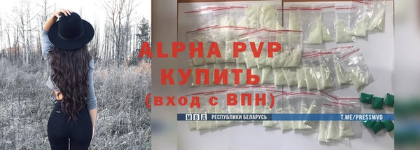 стаф Новозыбков