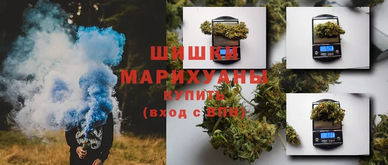 mega сайт  что такое   Лебедянь  Марихуана Amnesia 